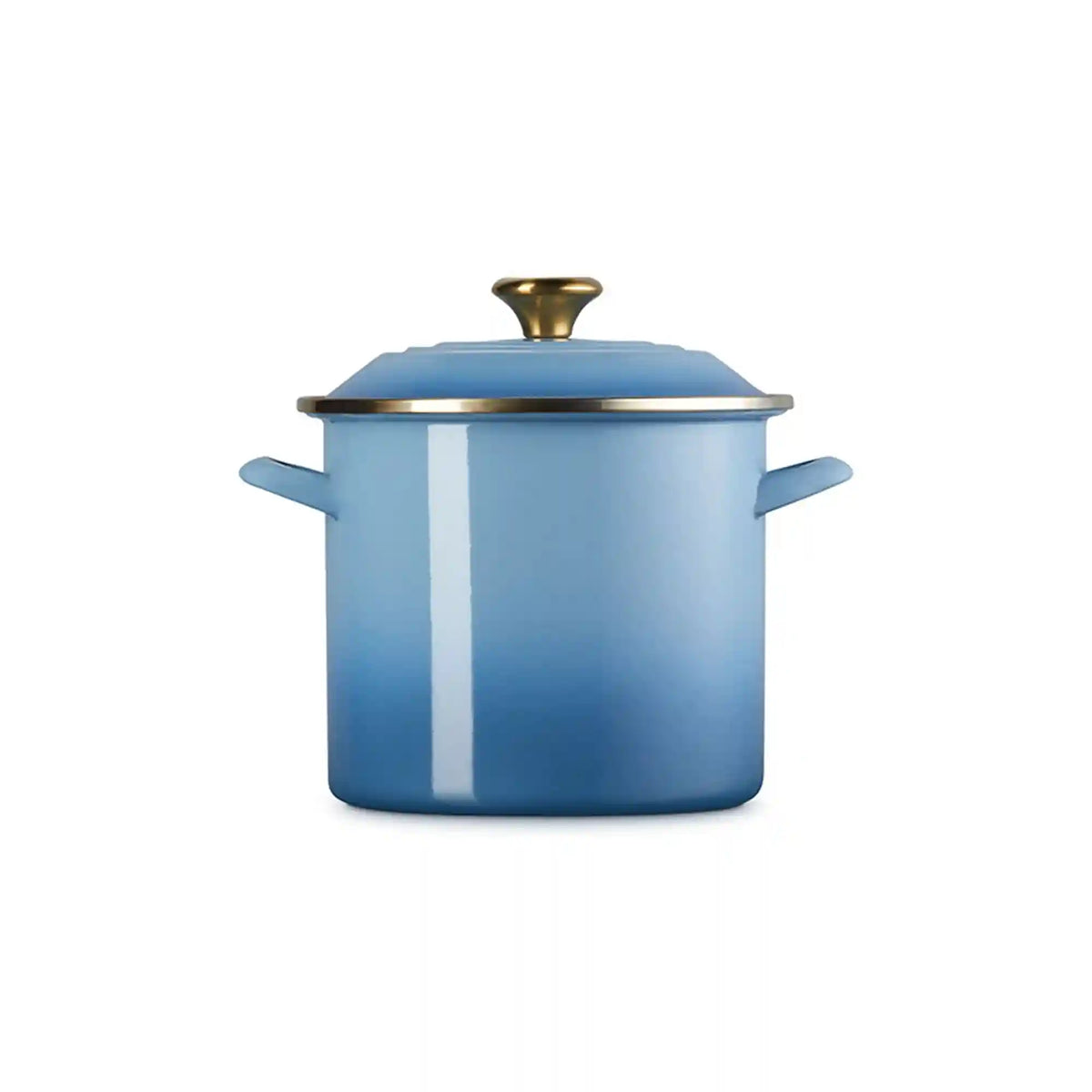 Stockpot